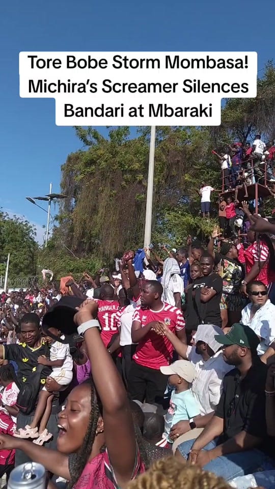 Post 8 by Kerongo wycliff 🇰🇪🇩🇪 on TikTok (video)