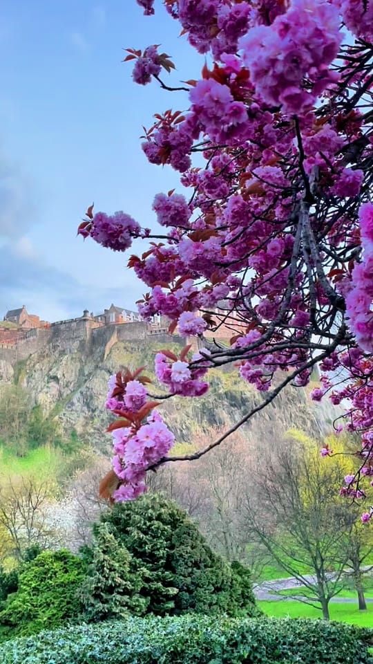 Post 1 by EpicTours Scotland on TikTok (video)