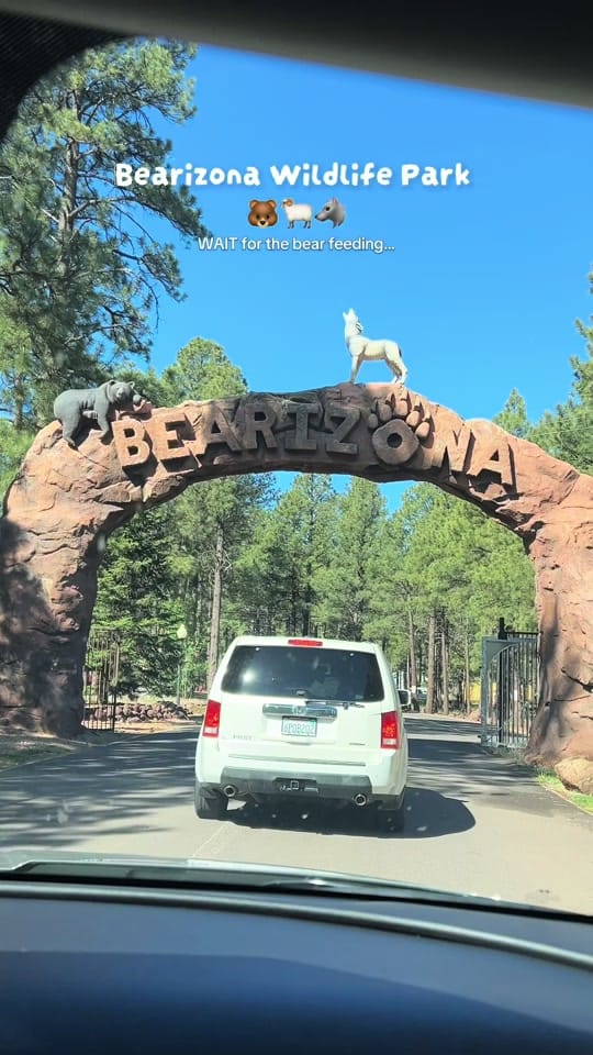 Post 6 by Kylee Sharp on TikTok (video)