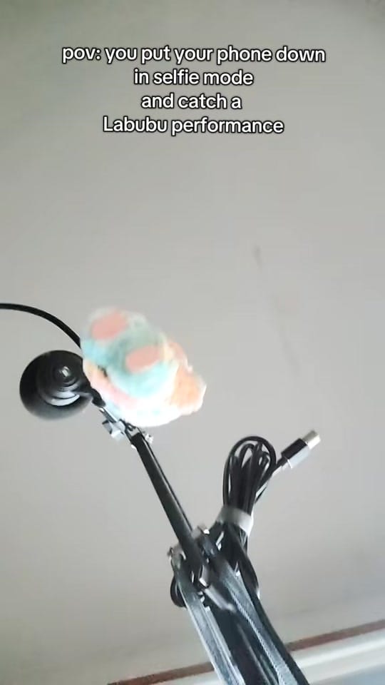 Post 8 by itskaitlyndanger on TikTok (video)