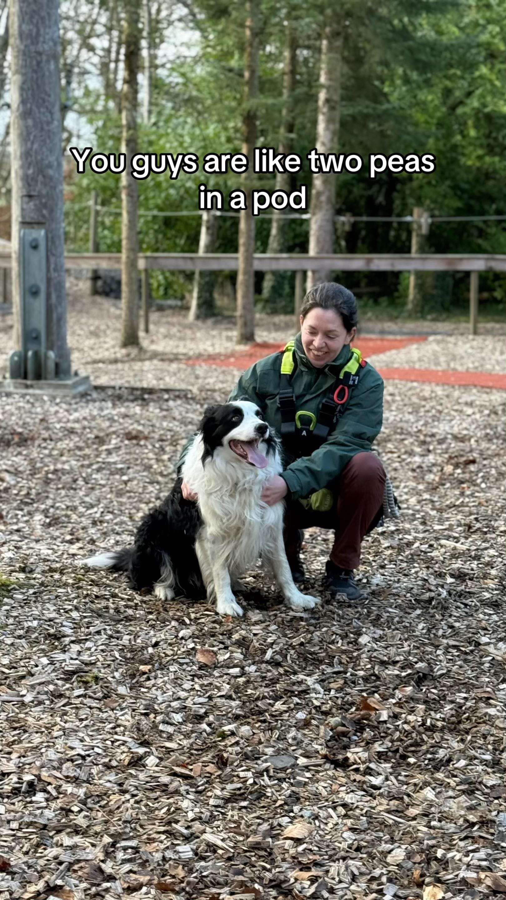 Post 4 by Castlecomer Discovery Park on TikTok (video)
