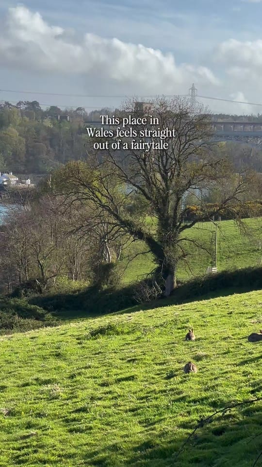 Post 7 by Visit Britain 🇬🇧 on TikTok (video)