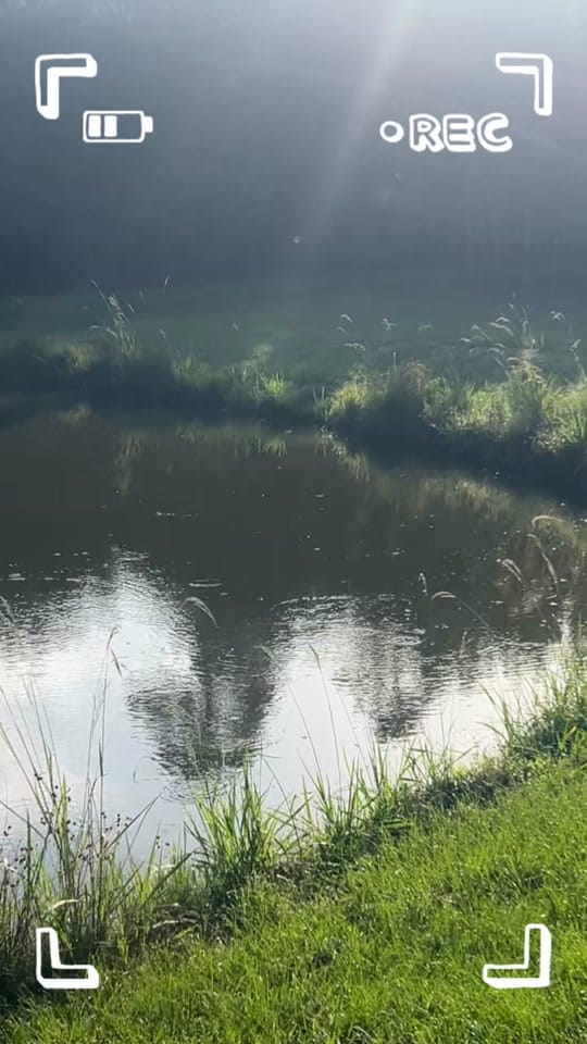 Post 5 by ItIsMeHoney on TikTok (video)
