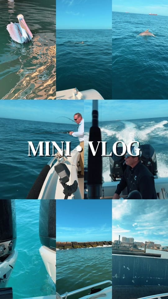 Post 2 by ItIsMeHoney on TikTok (video)
