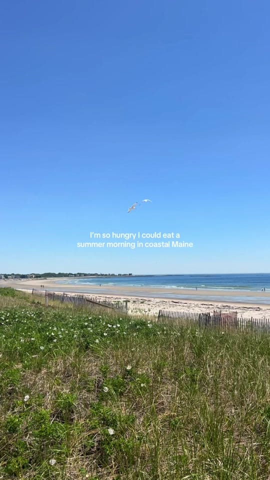 Post 3 by Sam on TikTok (video)