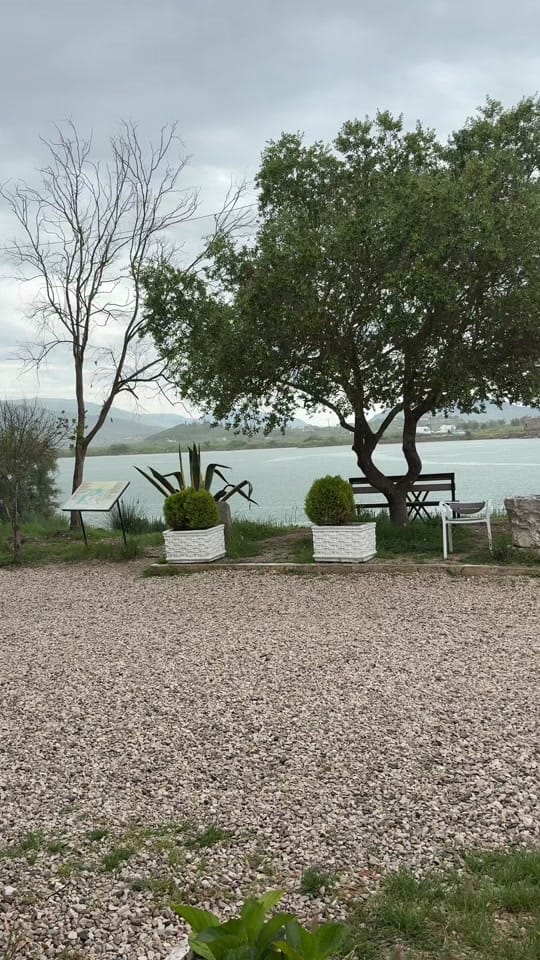 Post 1 by thetravelingsaffa on TikTok (video)