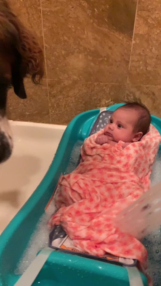 Post 10 by Tessa on TikTok (video)