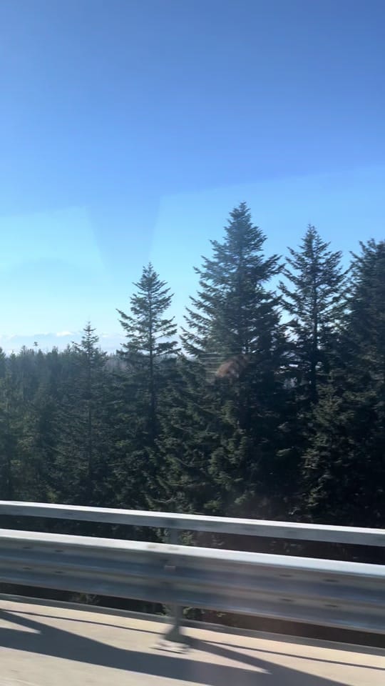 Post 6 by romyellery on TikTok (video)