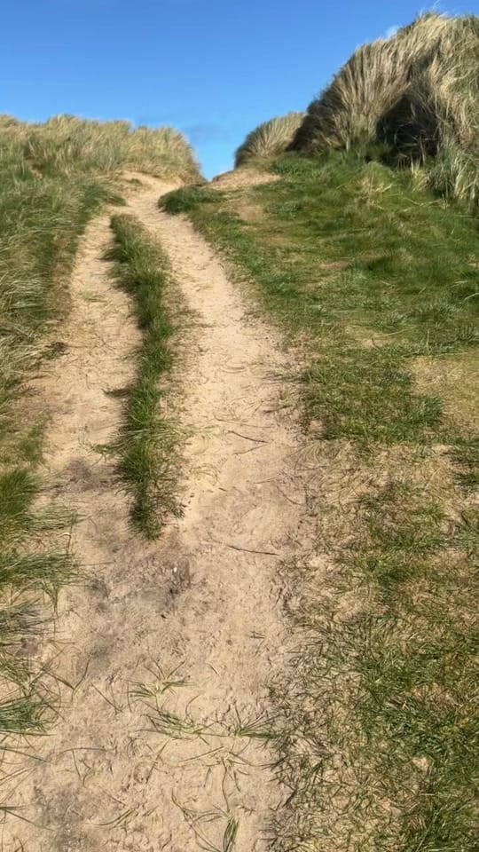 Post 7 by ☘️The Wee Wanderer - Ireland☘️ on TikTok (video)