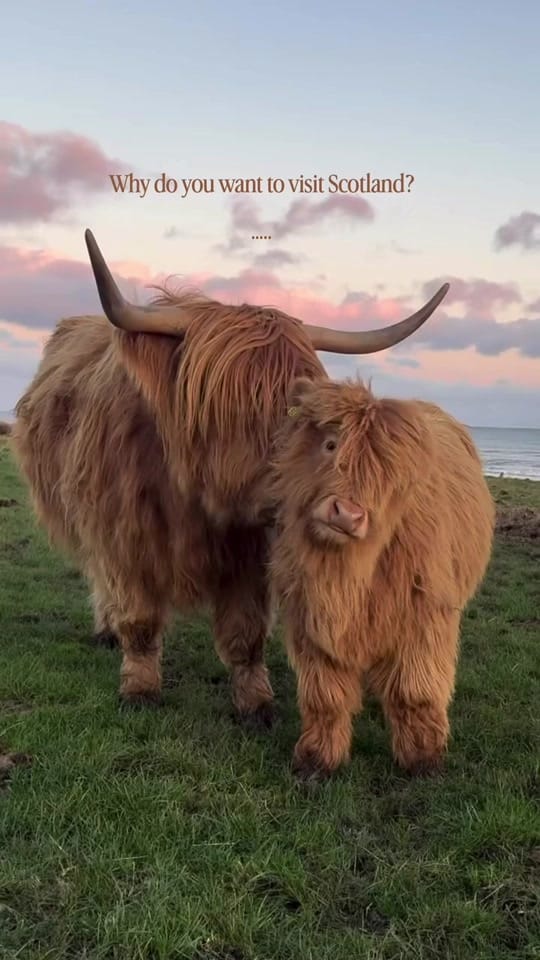 Post 8 by The Scotland Travel Company on TikTok (video)