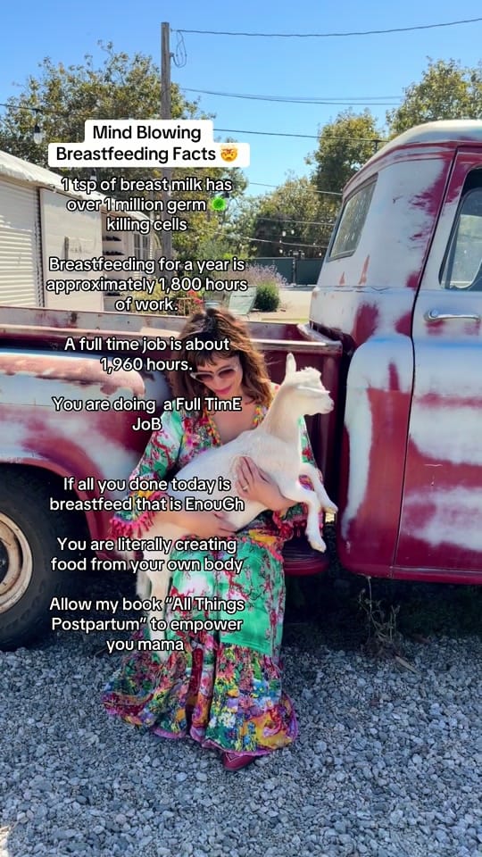 Post 2 by All Things Postpartum Book on TikTok (video)