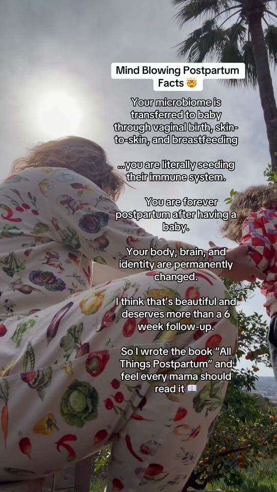Post 6 by All Things Postpartum Book on TikTok (video)