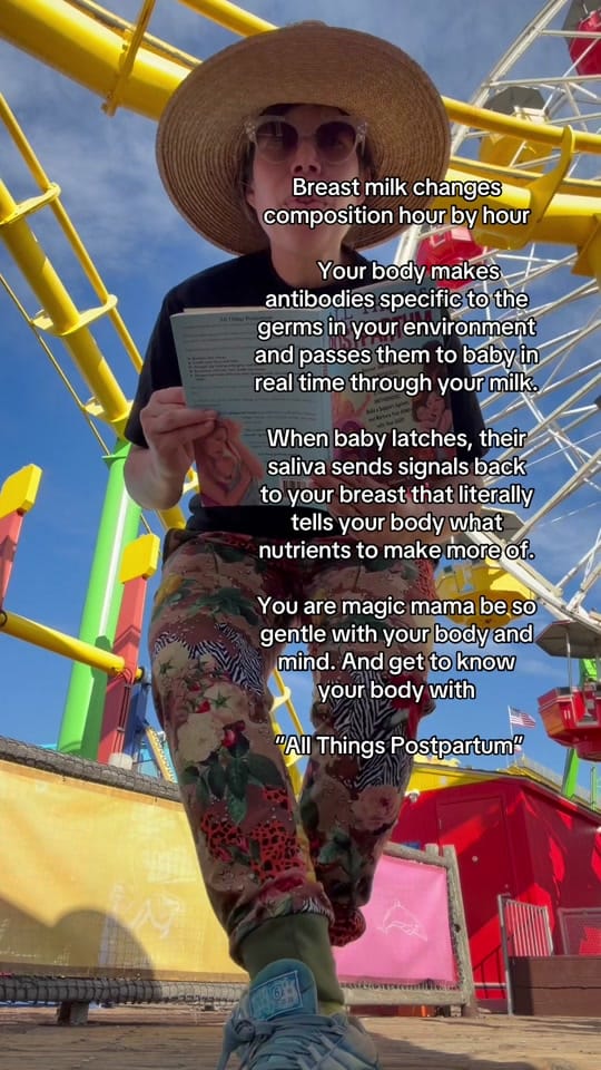 Post 5 by All Things Postpartum Book on TikTok (video)