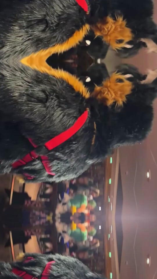 Post 1 by Mickysham on TikTok (video)