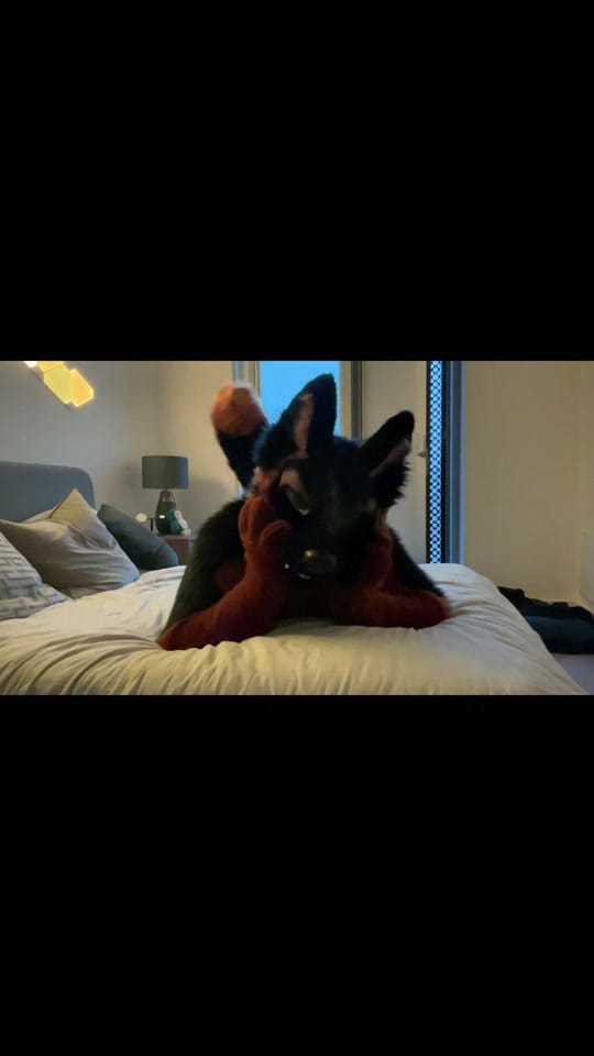 Post 2 by Mickysham on TikTok (video)