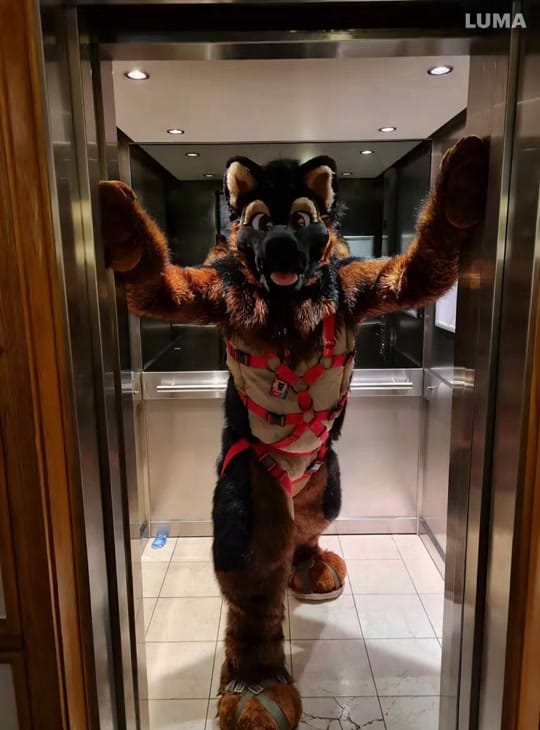 Post 7 by Mickysham on TikTok (video)