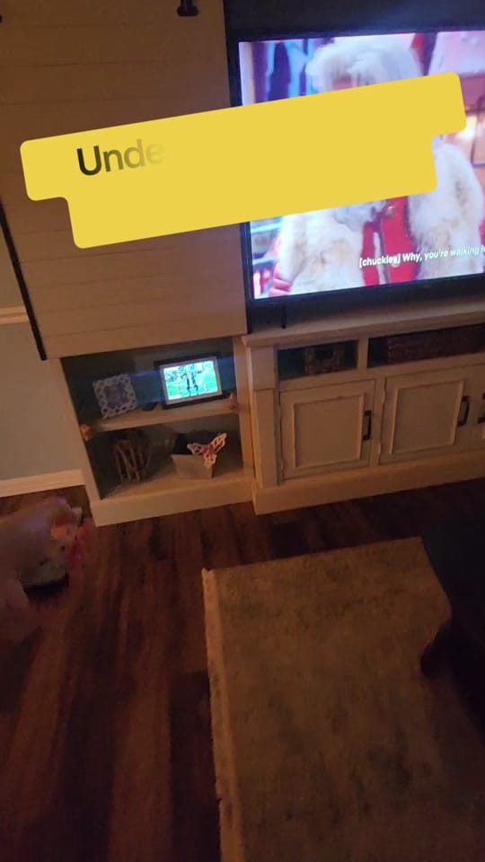 Post 2 by christinamahoney06 on TikTok (video)