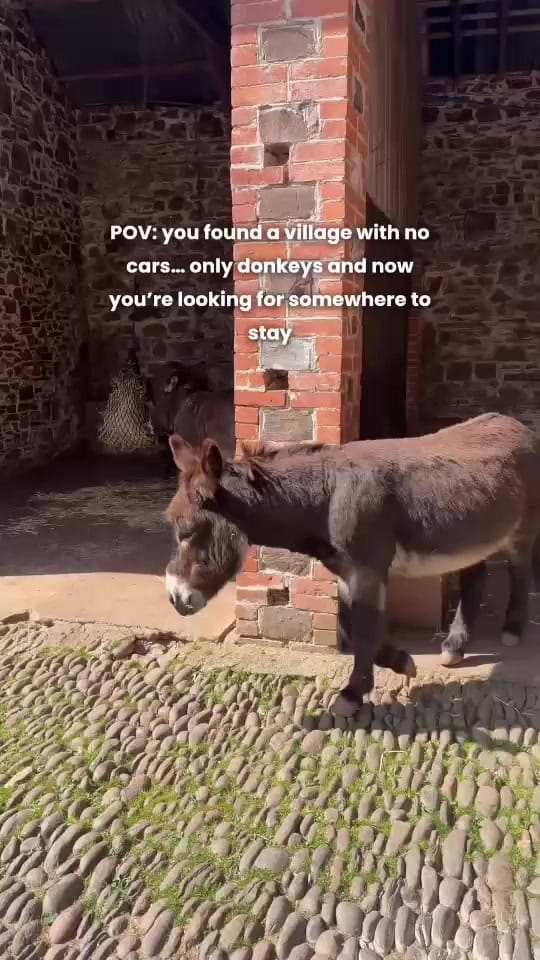 Post 10 by holidaycottages.co.uk on TikTok (video)