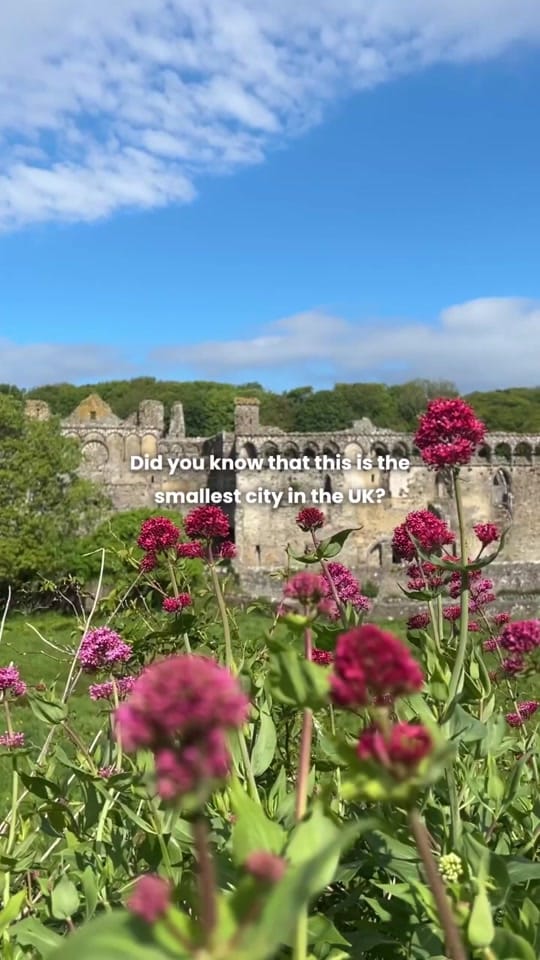 Post 3 by holidaycottages.co.uk on TikTok (video)
