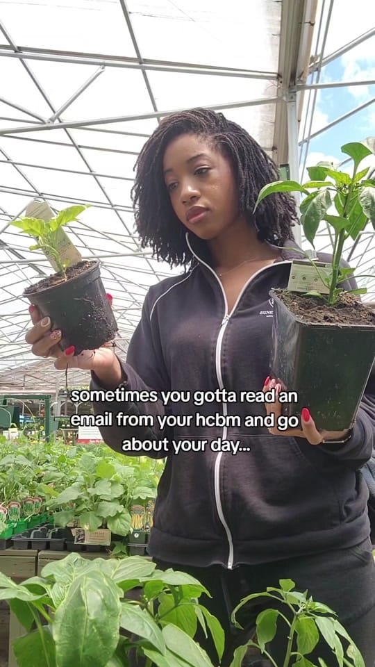 Post 3 by Imani 🏡🤎 on TikTok (video)