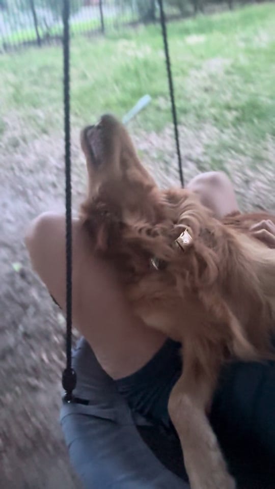 Post 4 by _chelsea_brown_4 on TikTok (video)