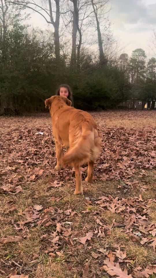 Post 10 by _chelsea_brown_4 on TikTok (video)