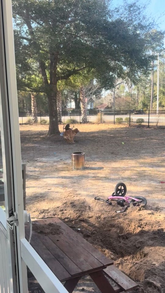 Post 9 by _chelsea_brown_4 on TikTok (video)