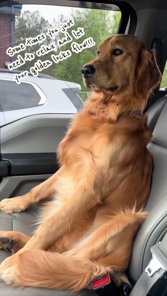 Post 7 by _chelsea_brown_4 on TikTok (video)