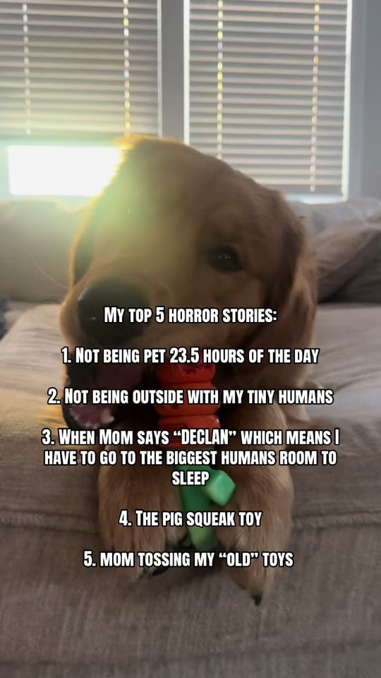 Post 3 by _chelsea_brown_4 on TikTok (video)