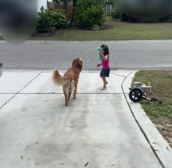Post 6 by _chelsea_brown_4 on TikTok (video)