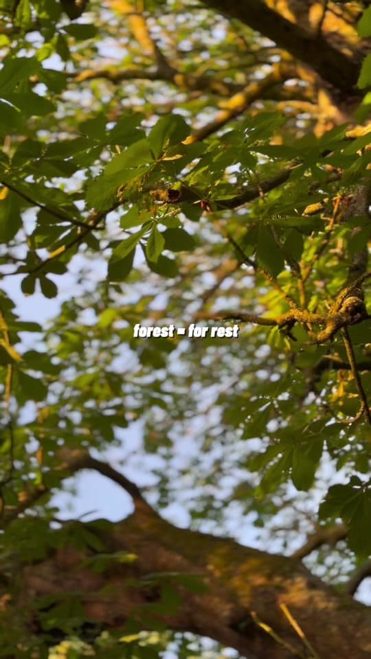 Post 3 by Mags | JourNi on TikTok (video)