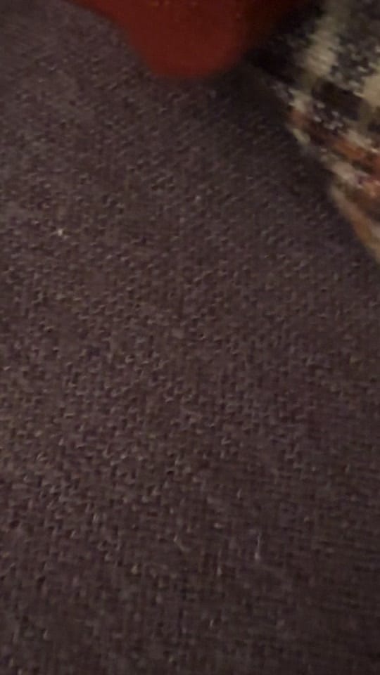 Post 2 by gracefulwishesphotog on TikTok (video)