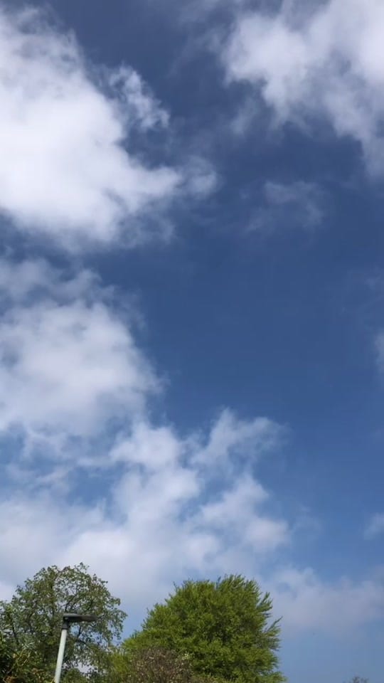 Post 1 by The Bonnie Camper on TikTok (video)