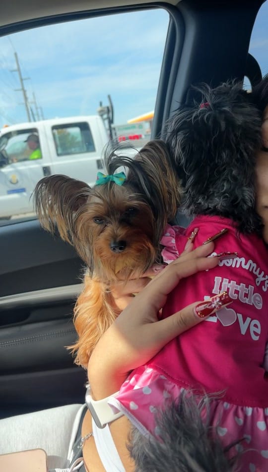 Post 4 by Da Bravos ♉️💍🥰💙🧡 on TikTok (video)