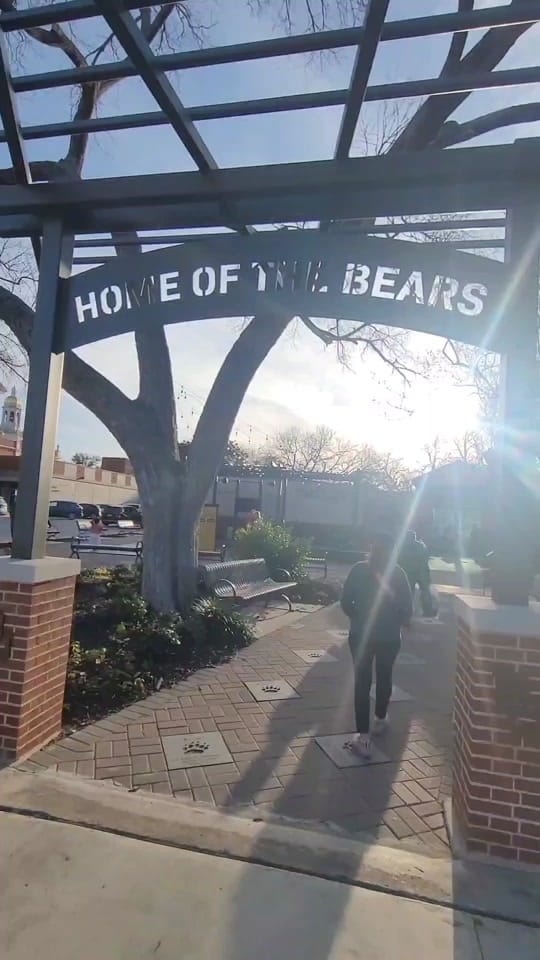Post 7 by Travel with Kids on TikTok (video)