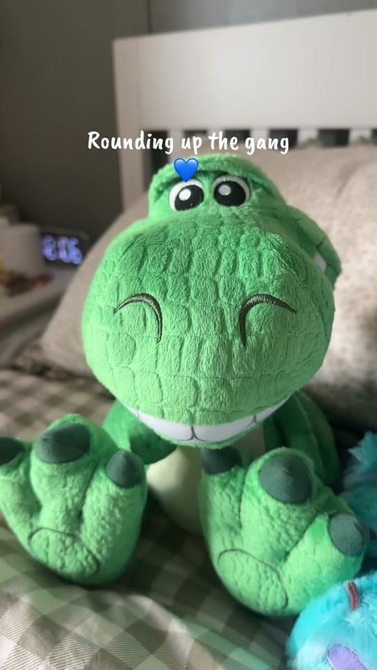 Post 1 by Rachel |✨Missing the Magic✨ on TikTok (video)
