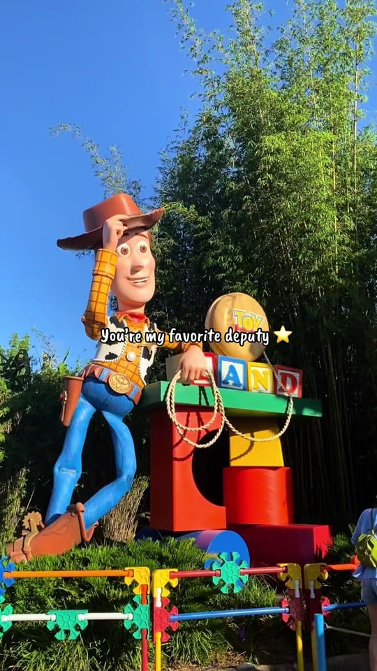 Post 7 by Rachel |✨Missing the Magic✨ on TikTok (video)