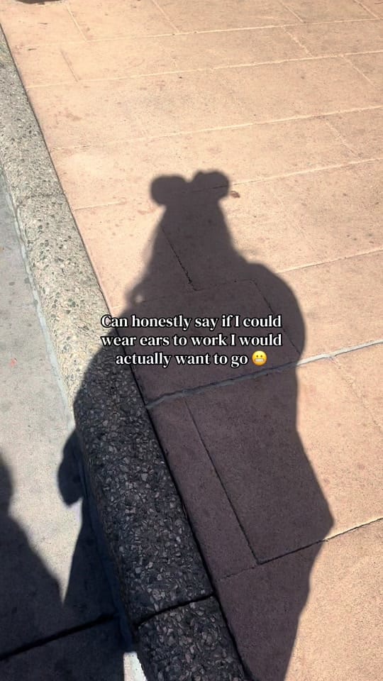 Post 2 by Rachel |✨Missing the Magic✨ on TikTok (video)