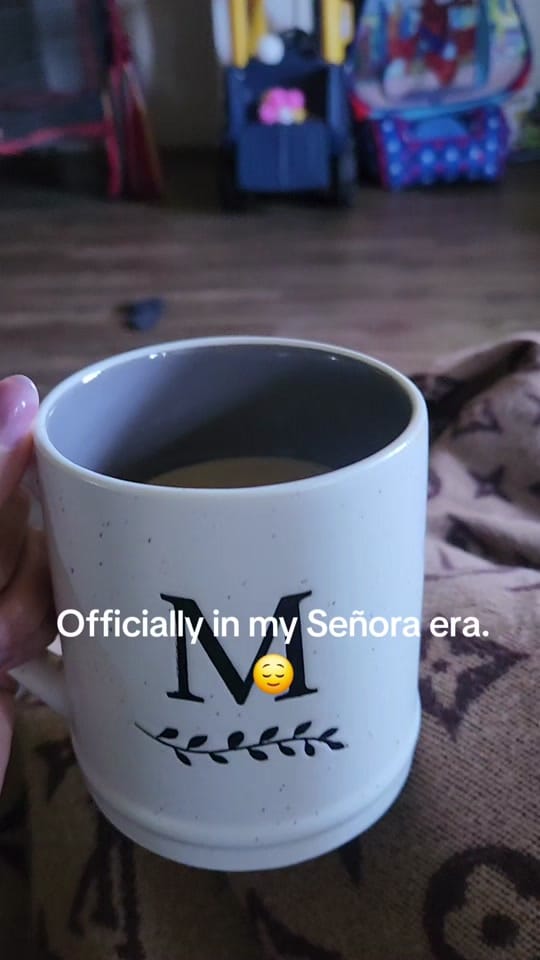 Post 2 by Marissa|SAHM✨️🩵 on TikTok (video)