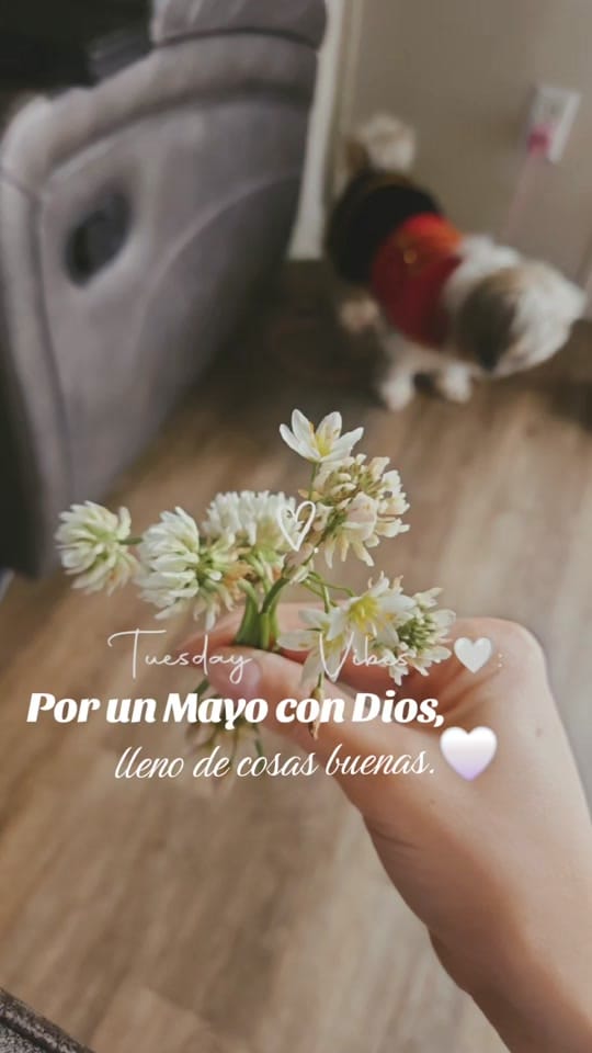 Post 7 by Marissa|SAHM✨️🩵 on TikTok (video)