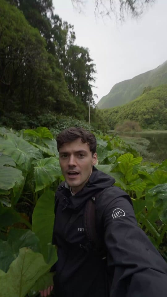 Post 7 by Marius Monaghan on TikTok (video)