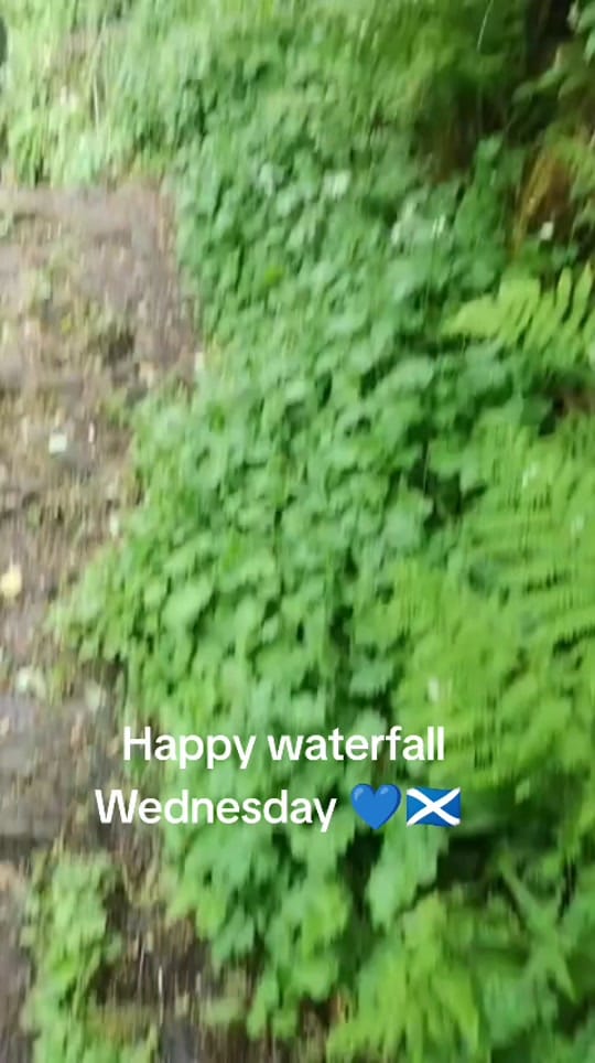 Post 3 by Scott_ on TikTok (video)