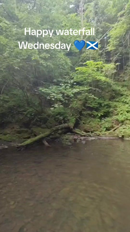 Post 5 by Scott_ on TikTok (video)