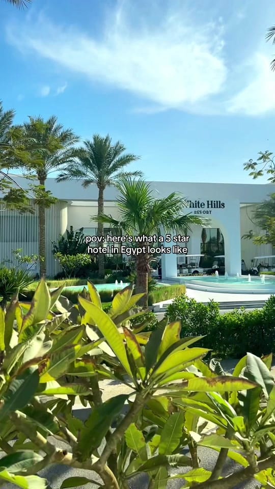 Post 8 by Olivia Alesha on TikTok (video)