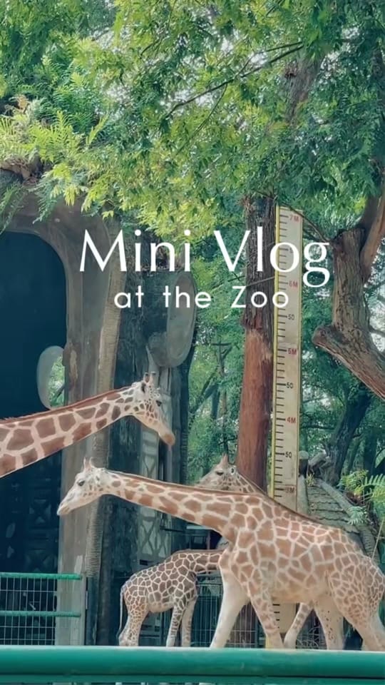 Post 6 by rohatravels on TikTok (video)