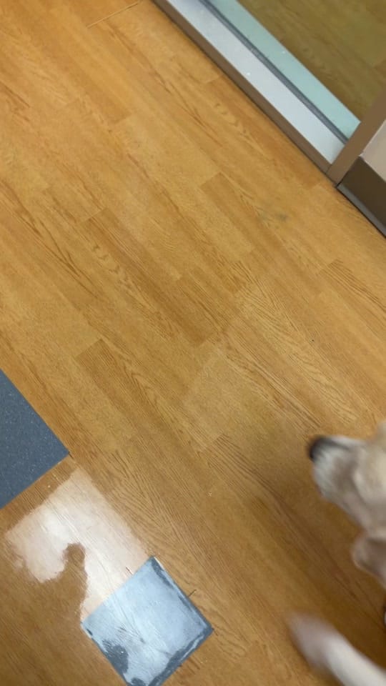 Post 4 by Macy on TikTok (video)