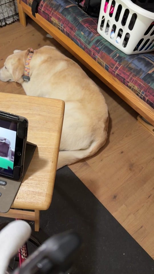 Post 3 by Macy on TikTok (video)