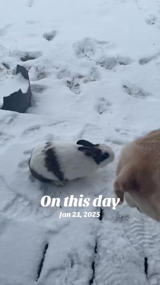 Post 8 by Macy on TikTok (video)
