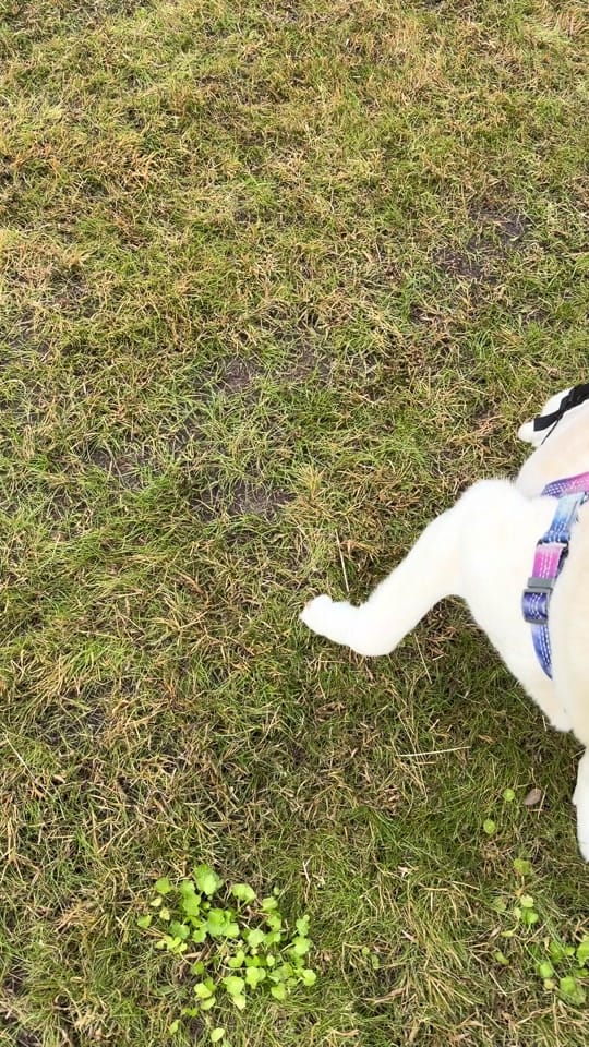 Post 5 by Macy on TikTok (video)