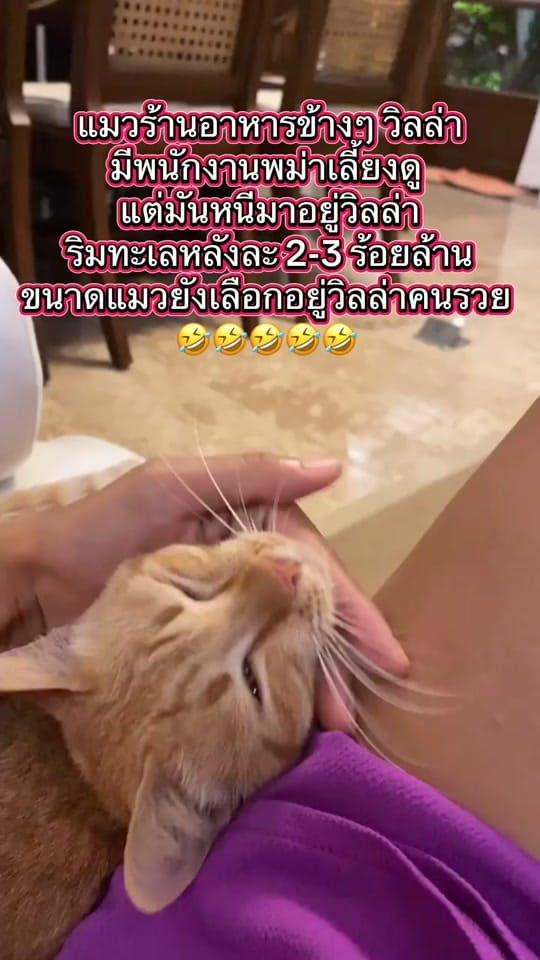 Post 1 by Vasana on TikTok (video)